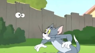 tom and jerry the fast and the furry