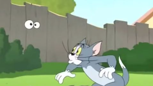 tom and jerry the fast and the furry