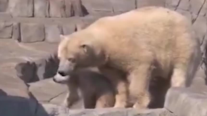 到嘴的肉都给你倒了