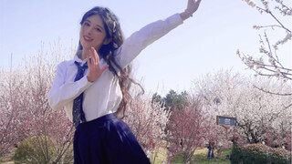 【十五雪】我宣布这就是最适合春日的cha！gidle-fate和春日花朵一起舞啦～