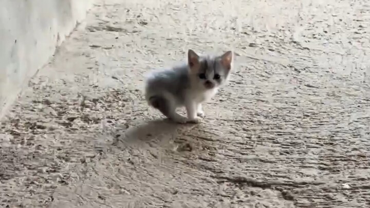 Ini benar-benar sangat kecil