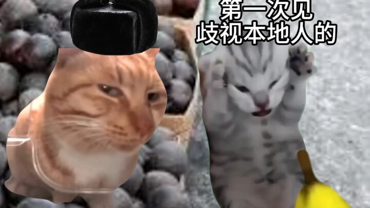 南方小土豆在东北的优越待遇