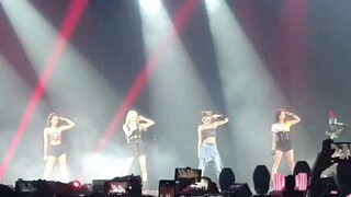 [BLACKPINK] Sự ủng hộ của các phi tần hoàng gia đối với kho tang lễ của họ đã vang dội khắp địa điểm