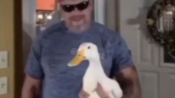 [Must-See Absurd Compilation from Home and Abroad #3]