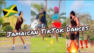 NEW JAMAICAN TIKTOK DANCE MASHUP 2024 !!!