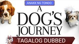 A Dogs Journey  2019 (HD TAGALOG DUBBED )