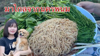 กลับมาถึงกระบี่แล้วพาเก็บผักข้างบ้านมากินกับข้าวปุ้นซาวที่มาไกลจากนครพนม แซ่บๆกับครอบครัวน้องอิ๋วจ้า