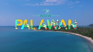 KNOWLEDGE CHANNEL: WOW PALAWAN (2023)