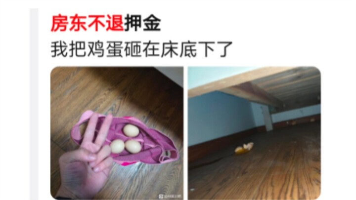 المالك لا يرد الوديعة، فألقى البيض تحت السرير