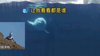 عامل التغذية يتعرض لـ"طرد" عنيف من قبل الحوت الأبيض بعد نزوله إلى الماء