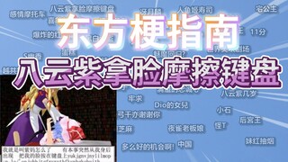东方梗指南:八云紫拿脸摩擦键盘