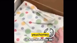cạn nhời🤣