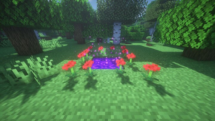 一跨就是九年的传送门