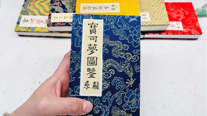 龙系宝可梦图鉴第一册完成！