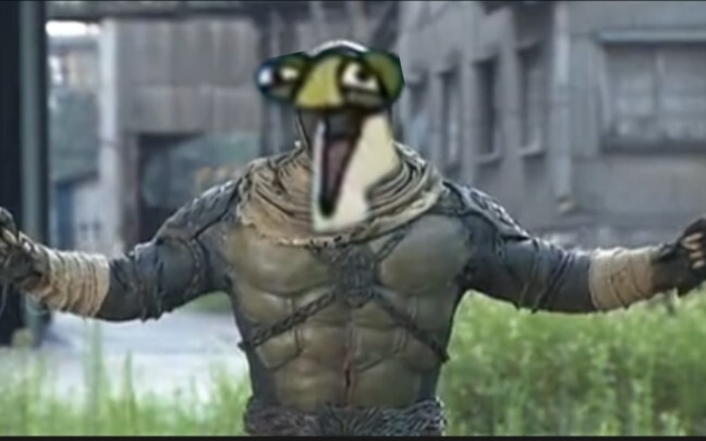 Turtle Gurongi Passes Away (Physical)