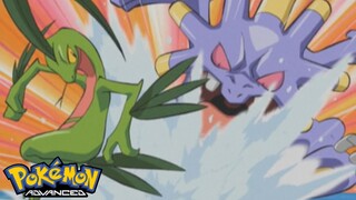 Pokémon AG Tập 342: Cơn giận vô cớ! Bakuong VS Juptile!! (Thuyết Minh)
