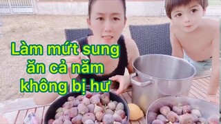 cách làm và bảo quản mứt sung tại nhà để cả năm | nông thôn nước Pháp