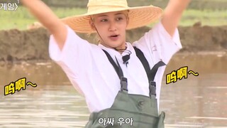 【seventeen】Jun nói yue? Yue? P.S. Bang Nai là người đóng thế cười trên mạng của tôi, người đóng thế 