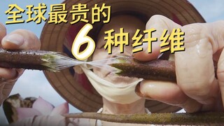 Vì sao lại đắt hơn cả vàng? Hé lộ quy trình sản xuất 6 loại sợi đắt nhất thế giới