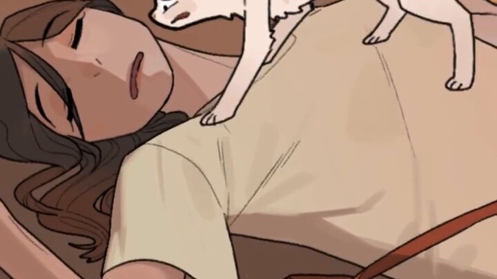 Stray cat: I’m a cat, I found a human~