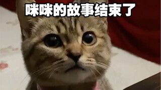 Kisah Mimi telah berakhir.