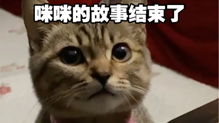 Mimi's story has come to an end.