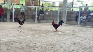 W. buy & play