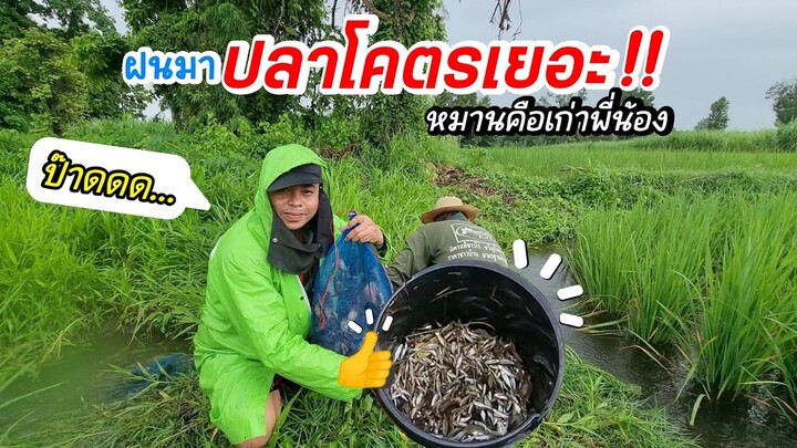 EP416ฝนตกหนักปูปลาโคตรเยอะ ตาศักดิ์หมานคือเก่า