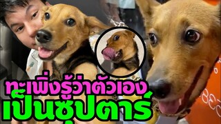 หมูทะ เพิ่งรู้ว่าตัวเองดังเป็นซุปตาร์ ก็มาเดินตลาด OMG! fc ตามกรี๊ด