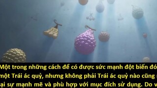 Shiryu ăn Trái ác quỷ _Kim cương_ của Jozu - Jozu đã chết dưới tay Râu Đen_p1