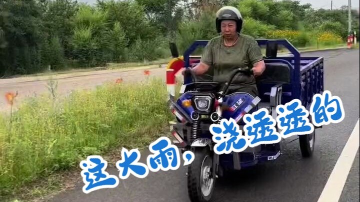 Going to the market to buy goslings, we ran into a heavy rain. It started pouring when we arrived an