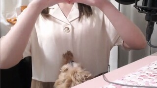 【猫姬琥珀】衣柜展示 大大大（