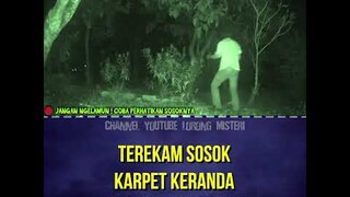 TEREKAM KARPET KERANDA TERBANG #shorts