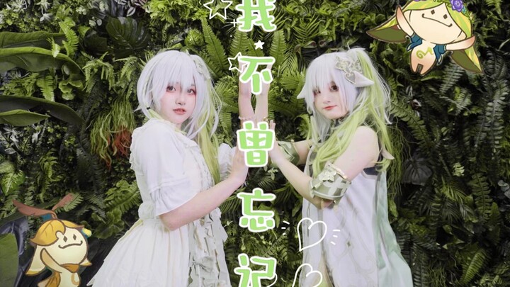 【ฮิโนกิอิจิ】ฉันไม่เคยลืม♪ป่าจะจดจำทุกสิ่ง🍀【เวอร์ชันนาซิดะ】