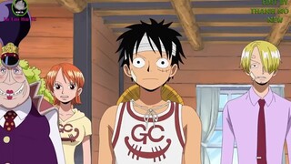 DÒNG HỌ SIÊU ĐẲNG NHẤT ONE PIECE - Chuẩn Main Con ông cháu cha