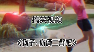 狗子:你俩是二臂吧