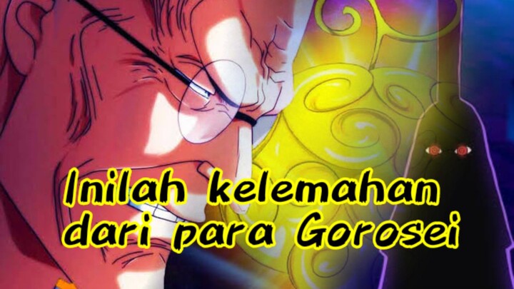 INILAH KELEMAHAN PARA GOROSEI (One Piece)