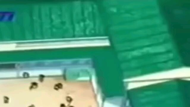 Crayon Shinchan Bahasa Indonesia