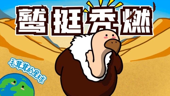 【Burung Bangkai】Kenapa burung bodoh ini botak?