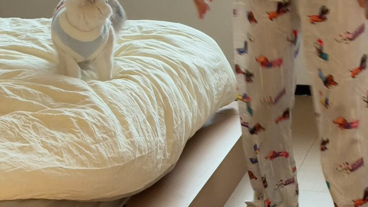 Bangun bersama mama itu namanya “layanan pengingat bangun”, sedangkan bangun bareng papa disebut “pa