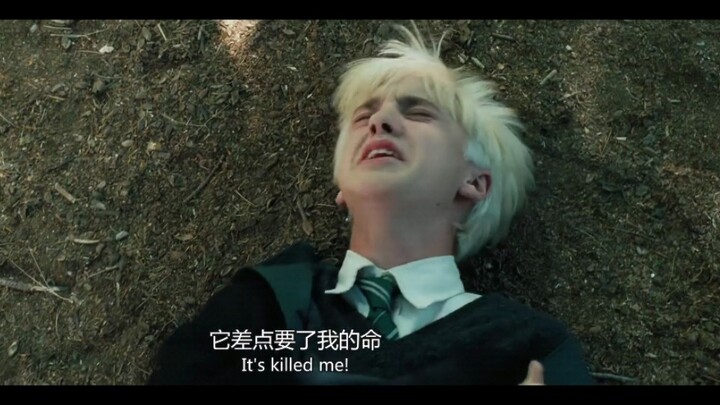 [HP • Draco] The young master’s high-energy moments — sorry, I just got hungry for it