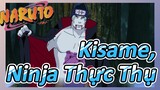 Kisame, Ninja Thực Thụ