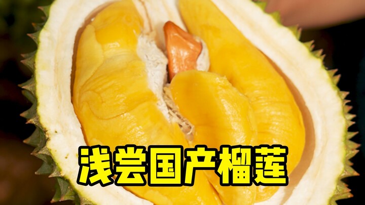 [Petualang Buah Hunter x Hunter] Cicipi Sekilas Durian Lokal!