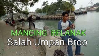 Mancing BELANAK Salah Umpan Broo