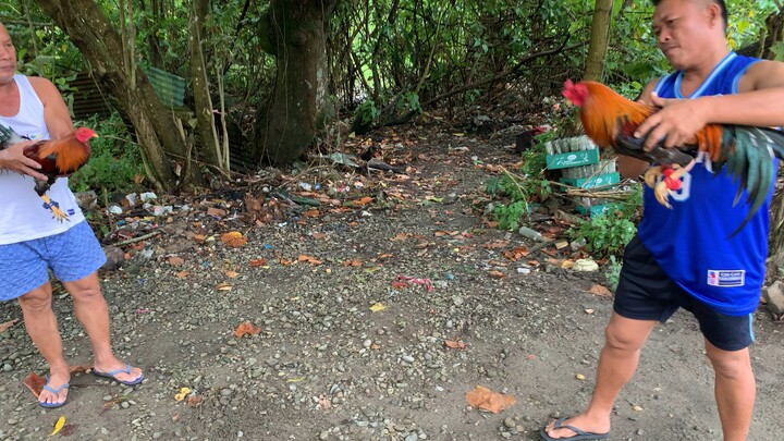 5k Sweater vs 5k sweater.     Sparring session