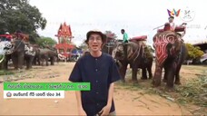 กินไปทั่ว มั่วบ้านงาน เทศกาลงานบวชนาคช้าง จ.สุรินทร์ วันพุธที่ 2 ก.ค. เวลา 18.00 น.