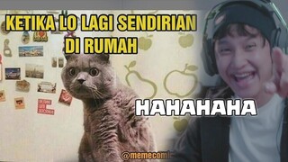 meme malming jomblo gabut