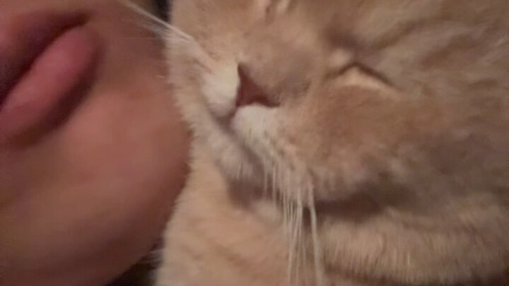 Are you Daddy's good kitty? Speak up!!