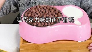 #0FatCocoaHoneyBallHuaNiu, I heard you were bitten by a dog?! #DeliciousToExplosive#Internet celebri