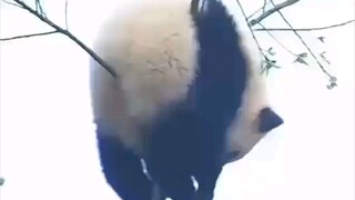 ذاك اللو: سأجعلك تختبر اليأس اليوم